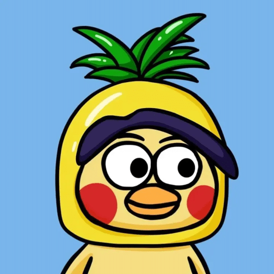 hsdqz